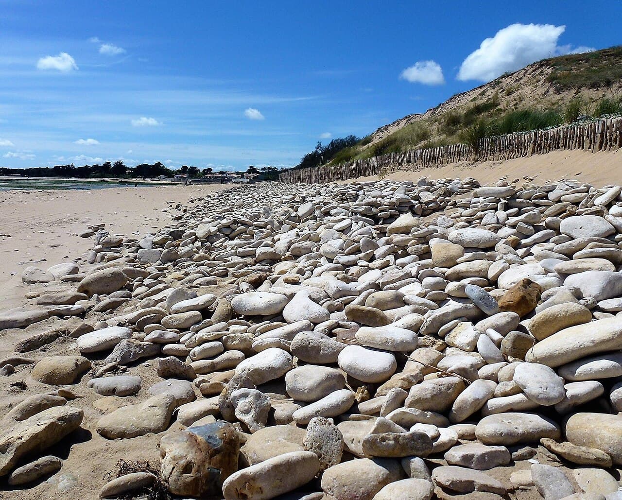 La plage de la Cartière aux Chats à Longeville-sur-Mer