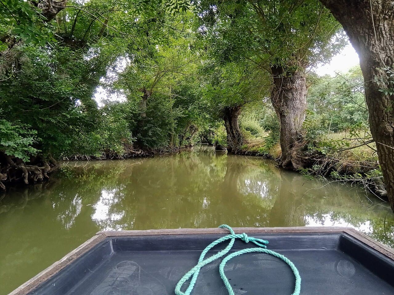 Un canal du Marais poitevin à Maillezais, vu depuis une barque